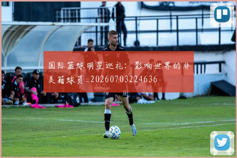 国际篮球明星巡礼:影响世界的非美籍球员_20260703224636