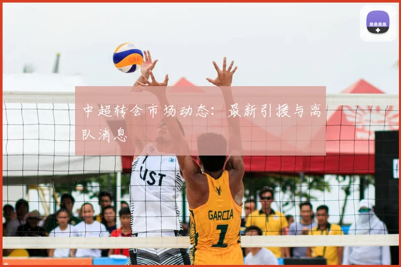 中超转会市场动态：最新引援与离队消息